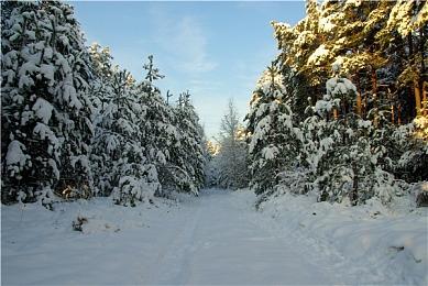 KK官方对战平台新图推荐新一弹！抵御丧尸狂潮，神界之门开启！
